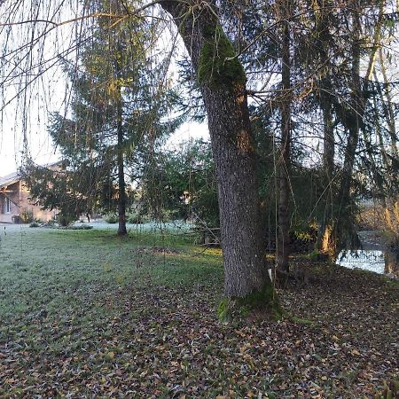 Gite Des Viviers -08400 Manre - De 1 A 2 Personnes Eksteriør billede